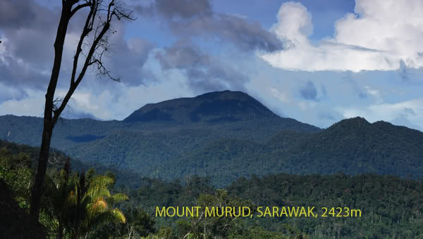 Mt Murud