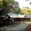 11-sarawak-borneo-garden-kuching-kubah-national-park-500×464