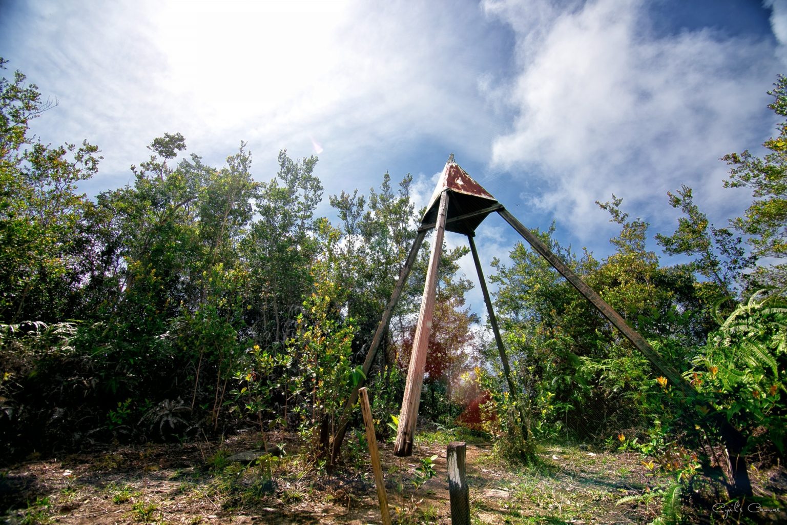 BUNG JAGOI (BAU) SARAWAK - Great Leap Tours