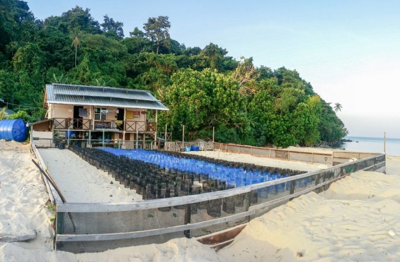 The_turtle_hatchery_and_park_headquarters_on_Talang-Talang_island_1536795016