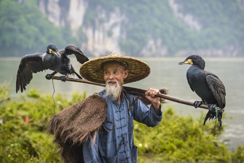 cormorant-fishing-Li-River-Yangshuo-China