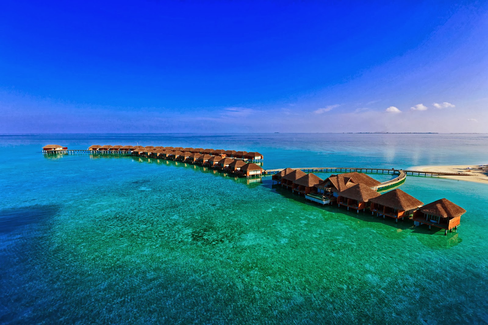 壁纸 马尔代夫天堂岛的海蓝色的水 2560x1600 HD 高清壁纸, 图片, 照片